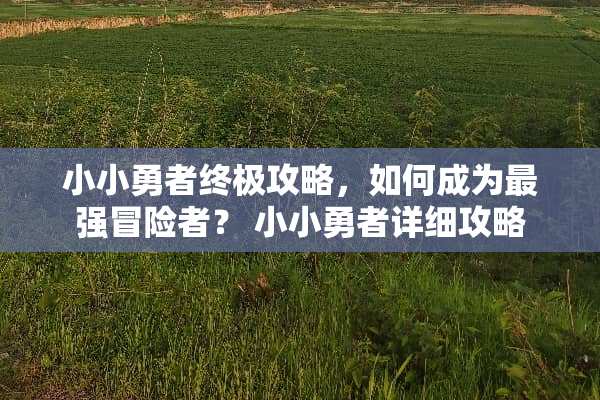 小小勇者终极攻略，如何成为最强冒险者？ 小小勇者详细攻略