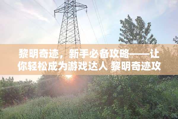 黎明奇迹，新手必备攻略——让你轻松成为游戏达人 黎明奇迹攻略
