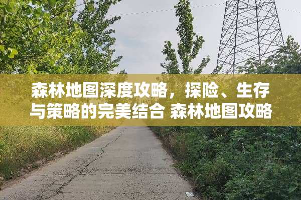 森林地图深度攻略，探险、生存与策略的完美结合 森林地图攻略