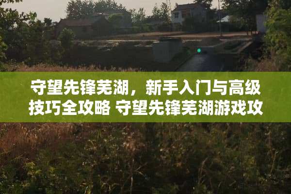 守望先锋芜湖，新手入门与高级技巧全攻略 守望先锋芜湖游戏攻略