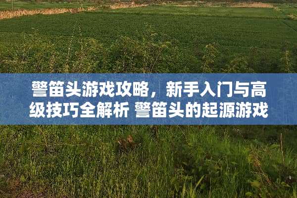警笛头游戏攻略，新手入门与高级技巧全解析 警笛头的起源游戏攻略