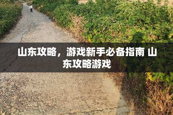 山东攻略，游戏新手必备指南 山东攻略游戏