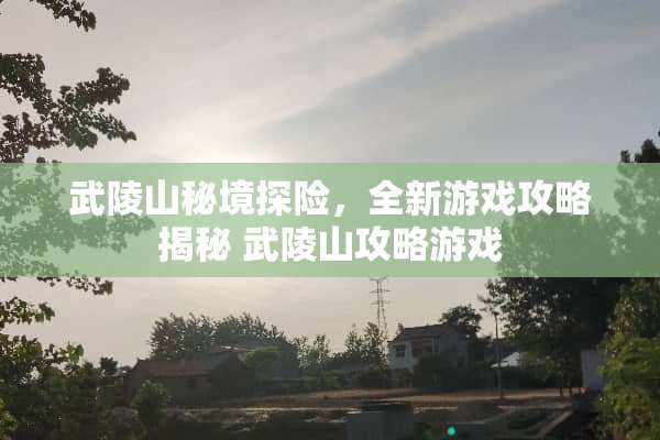武陵山秘境探险，全新游戏攻略揭秘 武陵山攻略游戏