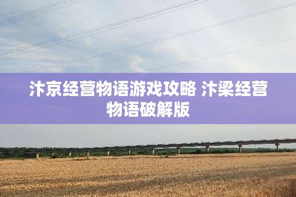 汴京经营物语游戏攻略 汴梁经营物语**版