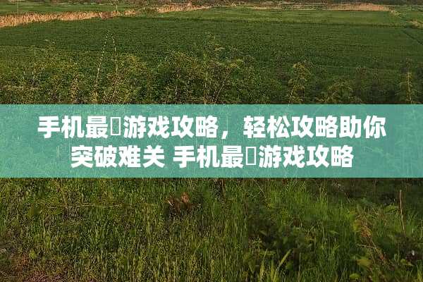 手机最囧游戏攻略，轻松攻略助你突破难关 手机最囧游戏攻略