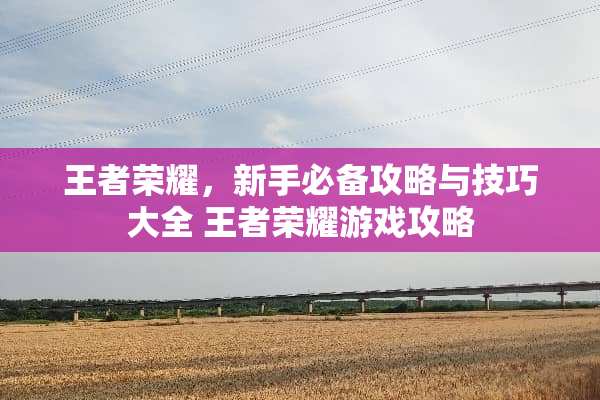 王者荣耀，新手必备攻略与技巧大全 王者荣耀游戏攻略