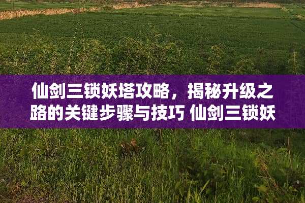 仙剑三锁妖塔攻略，揭秘升级之路的关键步骤与技巧 仙剑三锁妖塔攻略