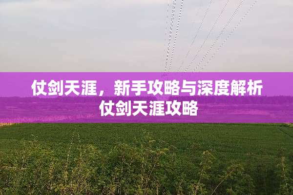 仗剑天涯，新手攻略与深度解析 仗剑天涯攻略