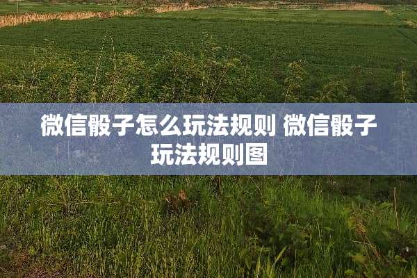微信**怎么玩法规则 微信**玩法规则图
