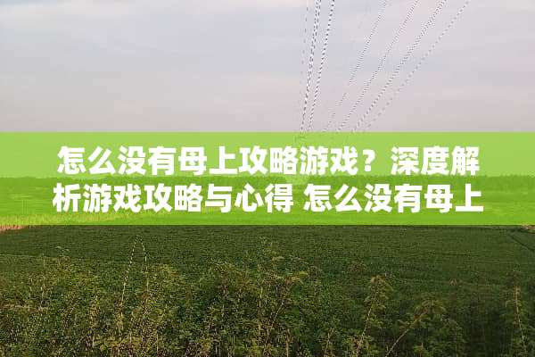 怎么没有母上攻略游戏？深度解析游戏攻略与心得 怎么没有母上攻略游戏