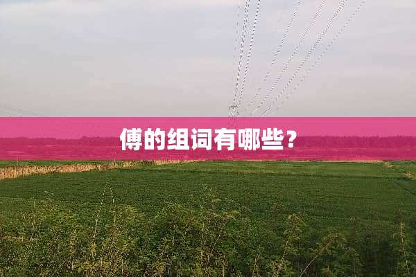 傅的组词有哪些？