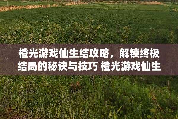 橙光游戏仙生结攻略，解锁终极结局的秘诀与技巧 橙光游戏仙生结攻略