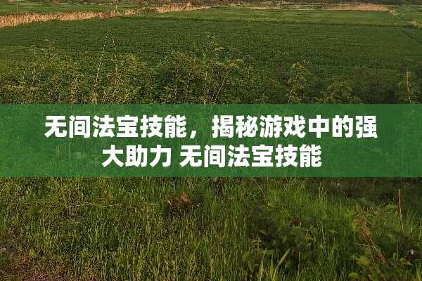 无间法宝技能，揭秘游戏中的强大助力 无间法宝技能