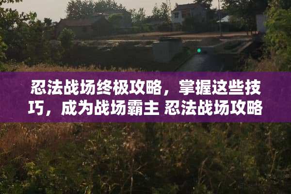 忍法战场终极攻略，掌握这些技巧，成为战场霸主 忍法战场攻略