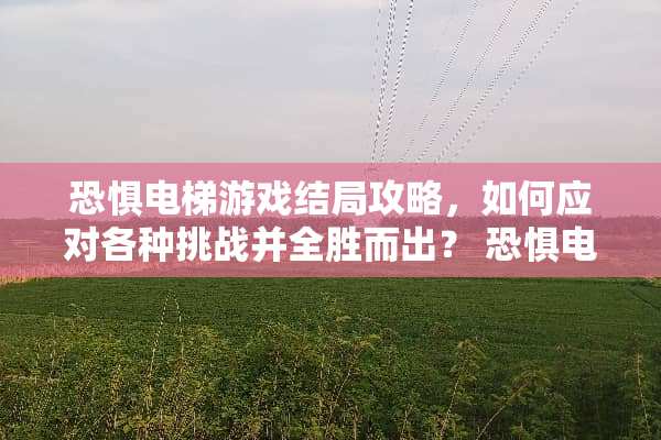 恐惧电梯游戏结局攻略，如何应对各种挑战并全胜而出？ 恐惧电梯小游戏结局攻略