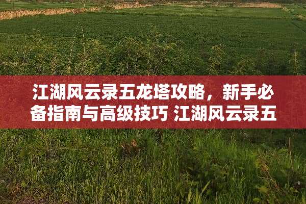 江湖风云录五龙塔攻略，新手必备指南与高级技巧 江湖风云录五龙塔攻略