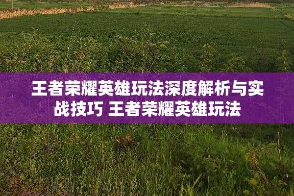 王者荣耀英雄玩法深度解析与实战技巧 王者荣耀英雄玩法