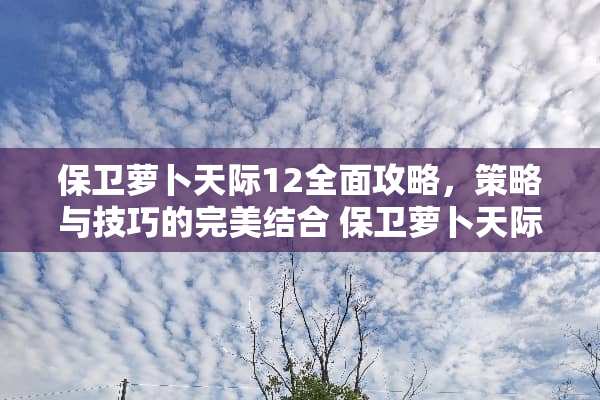 保卫萝卜天际12全面攻略，策略与技巧的完美结合 保卫萝卜天际12攻略