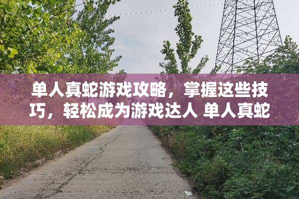 单人真蛇游戏攻略，掌握这些技巧，轻松成为游戏达人 单人真蛇攻略