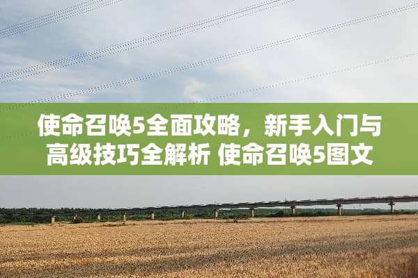 使命召唤5全面攻略，新手入门与高级技巧全解析 使命召唤5图文攻略