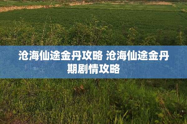 沧海仙途金丹攻略 沧海仙途金丹期剧情攻略