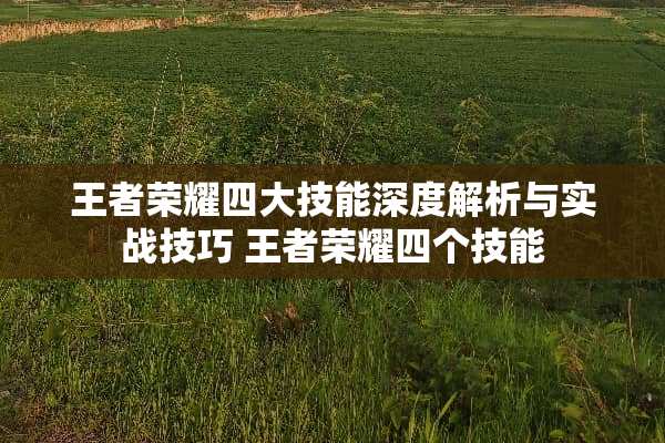 王者荣耀四大技能深度解析与实战技巧 王者荣耀四个技能