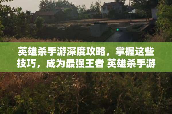 英雄**游深度攻略，掌握这些技巧，成为最强王者 英雄**游攻略