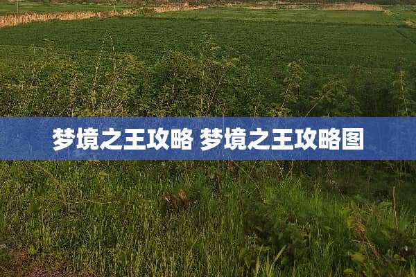 梦境之王攻略 梦境之王攻略图