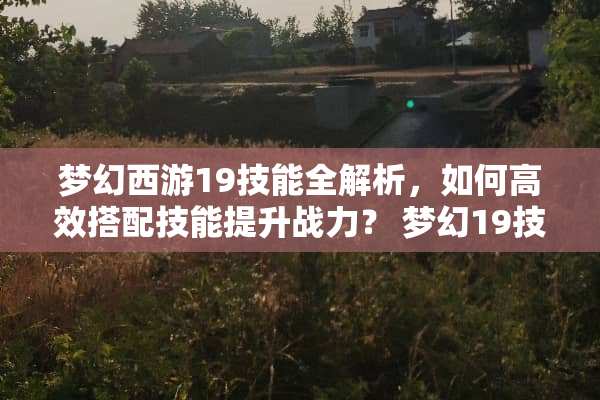 梦幻西游19技能全解析，如何高效搭配技能提升战力？ 梦幻19技能