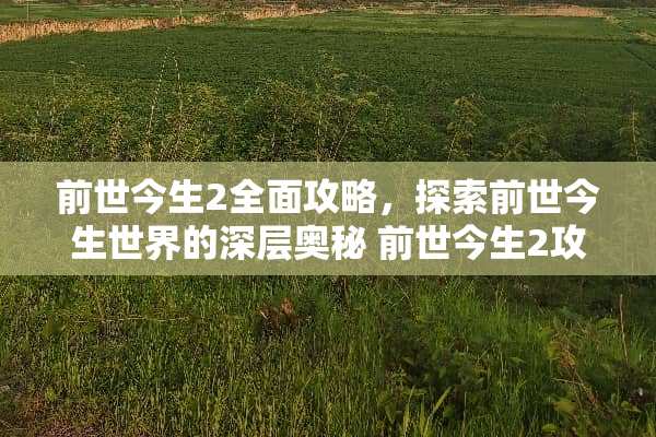 前世今生2全面攻略，探索前世今生世界的深层奥秘 前世今生2攻略