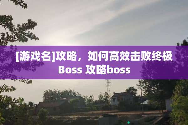 [游戏名]攻略，如何高效击败终极Boss 攻略boss