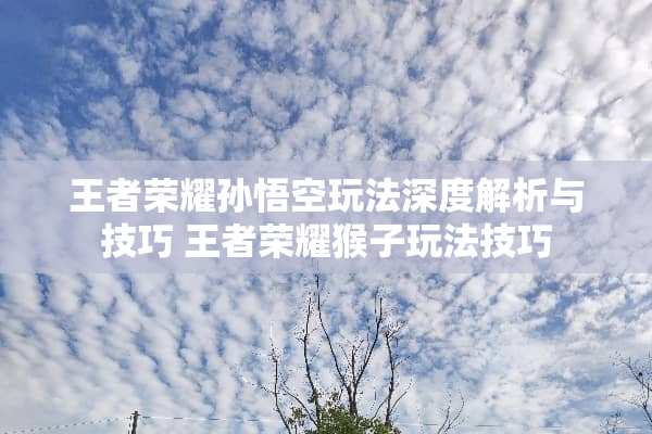 王者荣耀孙悟空玩法深度解析与技巧 王者荣耀猴子玩法技巧