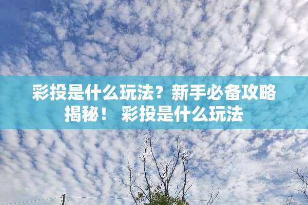 彩投是什么玩法？新手必备攻略揭秘！ 彩投是什么玩法