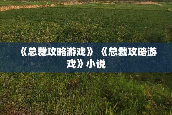 《总裁攻略游戏》 《总裁攻略游戏》小说