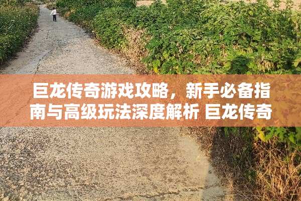 巨龙传奇游戏攻略，新手必备指南与高级玩法深度解析 巨龙传奇游戏攻略
