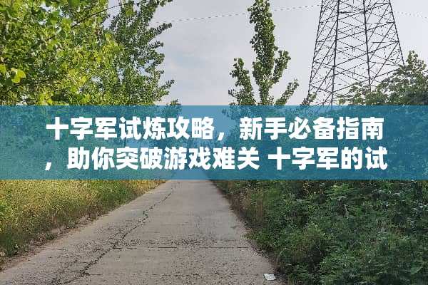 十字军试炼攻略，新手必备指南，助你突破游戏难关 十字军的试炼攻略