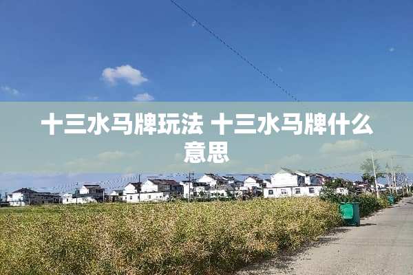 十三水马牌玩法 十三水马牌什么意思