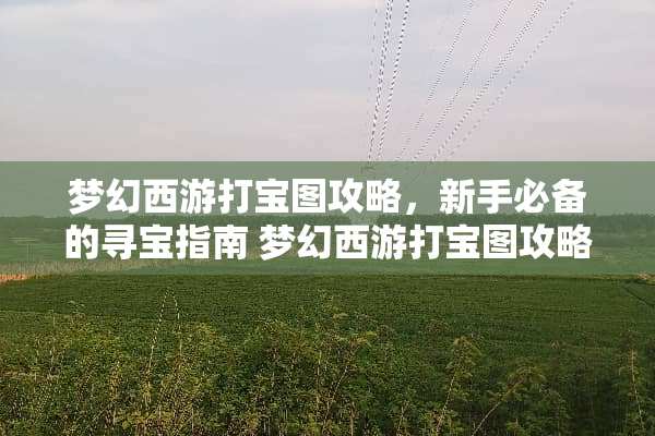 梦幻西游打宝图攻略，新手必备的寻宝指南 梦幻西游打宝图攻略