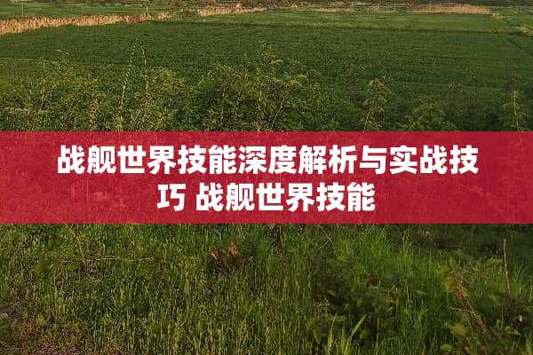 战舰世界技能深度解析与实战技巧 战舰世界技能