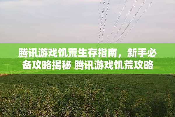 腾讯游戏饥荒生存指南，新手必备攻略揭秘 腾讯游戏饥荒攻略