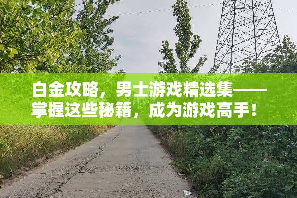 白金攻略，男士游戏精选集—— 掌握这些秘籍，成为游戏高手！ 白金攻略游戏推荐男生