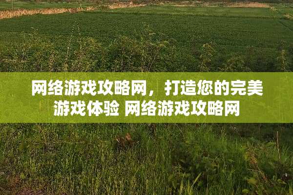 网络游戏攻略网，打造您的完美游戏体验 网络游戏攻略网