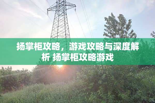 扬掌柜攻略，游戏攻略与深度解析 扬掌柜攻略游戏