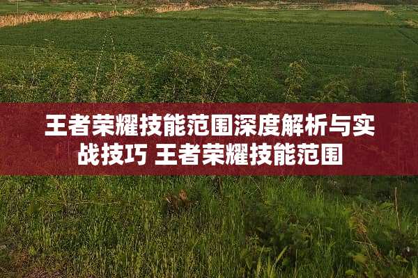 王者荣耀技能范围深度解析与实战技巧 王者荣耀技能范围