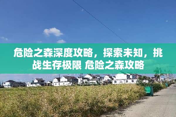 危险之森深度攻略，探索未知，挑战生存极限 危险之森攻略