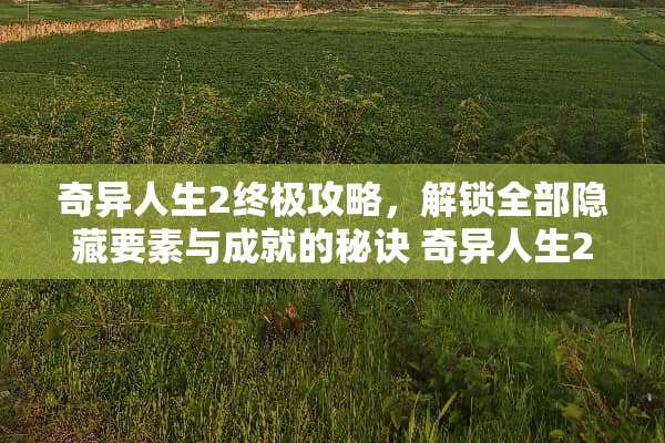 奇异人生2终极攻略，解锁全部隐藏要素与成就的秘诀 奇异人生2攻略