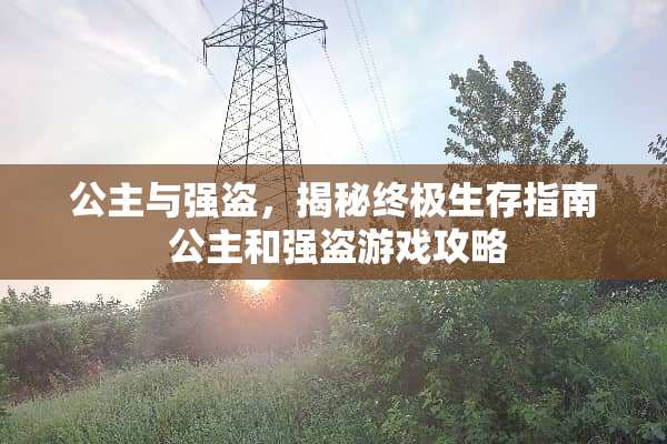 公主与强盗，揭秘终极生存指南 公主和强盗游戏攻略