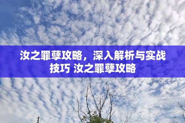 汝之罪孽攻略，深入解析与实战技巧 汝之罪孽攻略