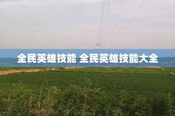 全民英雄技能 全民英雄技能大全