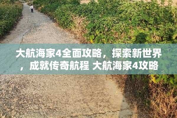 大航海家4全面攻略，探索新世界，成就传奇航程 大航海家4攻略